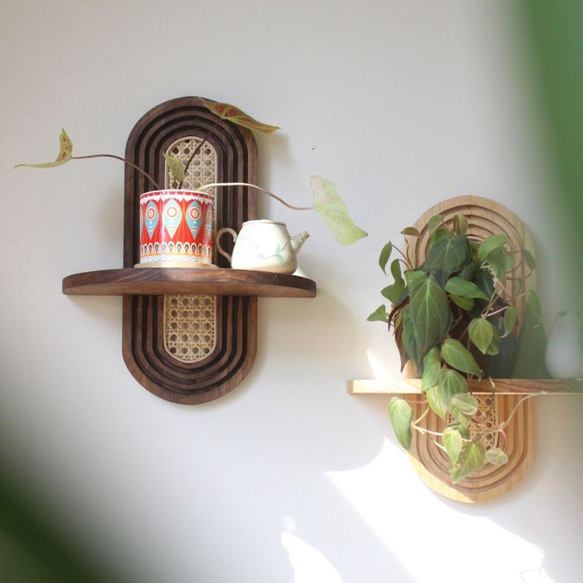 Organic Wall Display Shelf - Northgrove - 