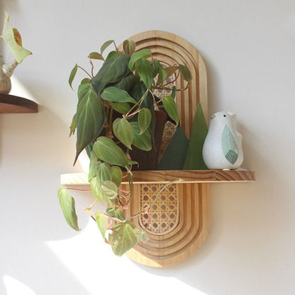 Organic Wall Display Shelf - Northgrove - 